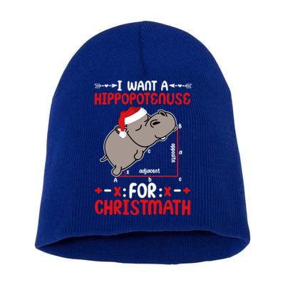 I Want A Hipopotenuse For Christmath Funny Hippo Xmas Cool Gift Short Acrylic Beanie