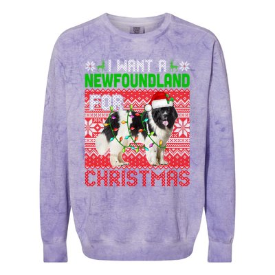 I Want A Newfoundland For Christmas Santa Dog Lover Owner Gift Colorblast Crewneck Sweatshirt