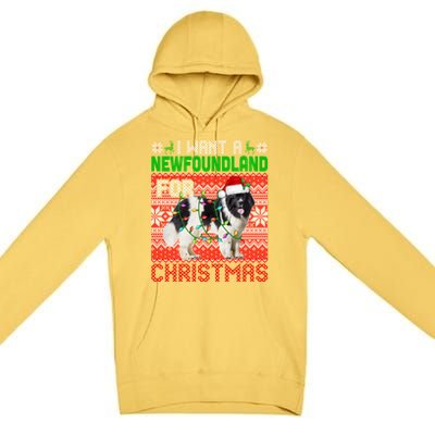 I Want A Newfoundland For Christmas Santa Dog Lover Owner Gift Premium Pullover Hoodie