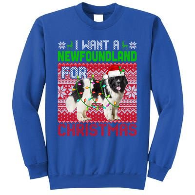 I Want A Newfoundland For Christmas Santa Dog Lover Owner Gift Sweatshirt