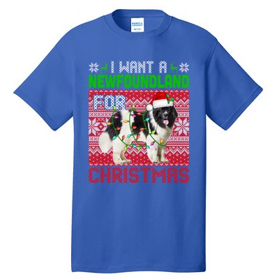 I Want A Newfoundland For Christmas Santa Dog Lover Owner Gift Tall T-Shirt