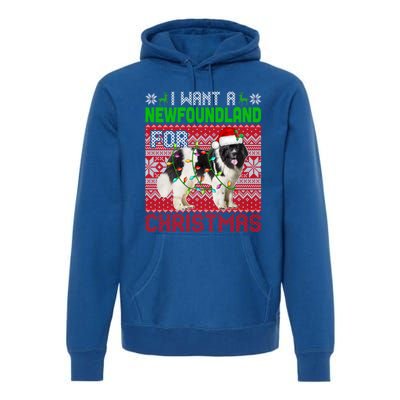 I Want A Newfoundland For Christmas Santa Dog Lover Owner Gift Premium Hoodie