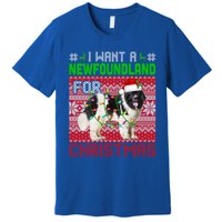 I Want A Newfoundland For Christmas Santa Dog Lover Owner Gift Premium T-Shirt