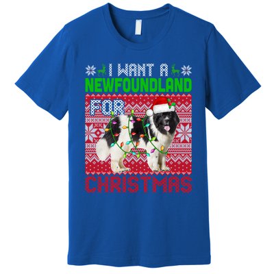 I Want A Newfoundland For Christmas Santa Dog Lover Owner Gift Premium T-Shirt