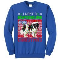 I Want A Newfoundland For Christmas Santa Dog Lover Owner Gift Tall Sweatshirt