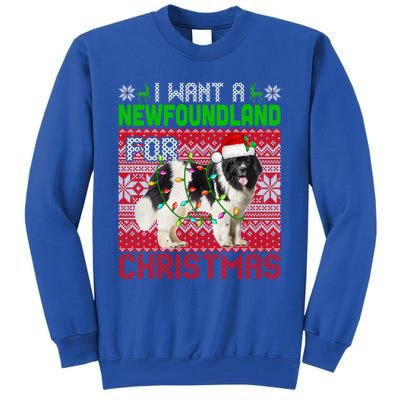 I Want A Newfoundland For Christmas Santa Dog Lover Owner Gift Tall Sweatshirt