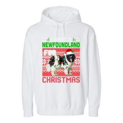 I Want A Newfoundland For Christmas Santa Dog Lover Owner Gift Garment-Dyed Fleece Hoodie