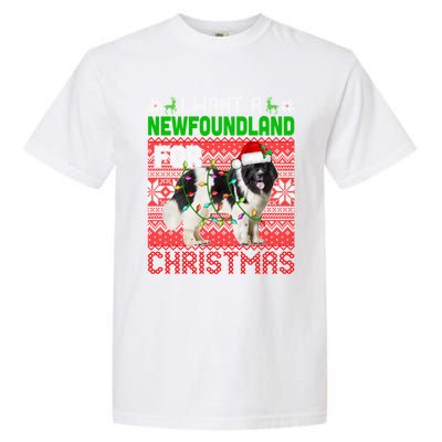 I Want A Newfoundland For Christmas Santa Dog Lover Owner Gift Garment-Dyed Heavyweight T-Shirt