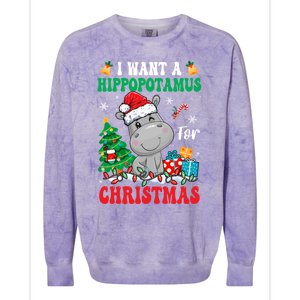 I Want A Hippopotamus For Christmas Lights Santa Hippo Xmas Gift Colorblast Crewneck Sweatshirt