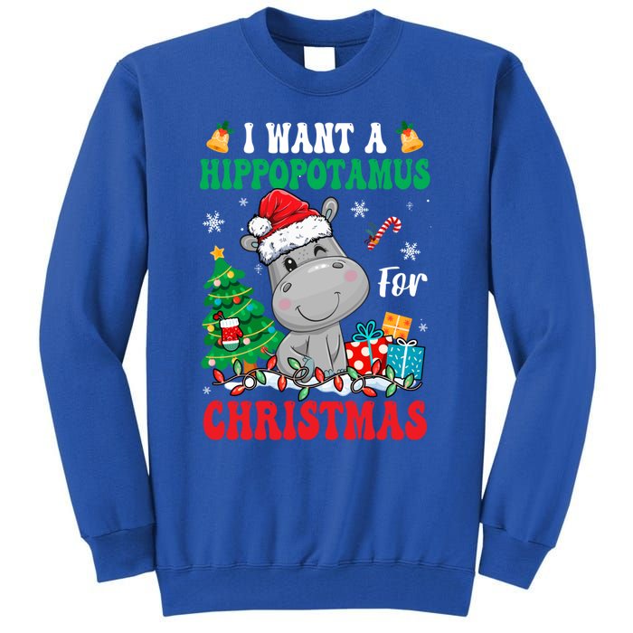 I Want A Hippopotamus For Christmas Lights Santa Hippo Xmas Gift Tall Sweatshirt