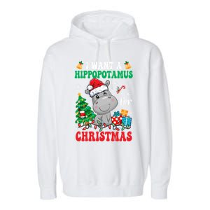 I Want A Hippopotamus For Christmas Lights Santa Hippo Xmas Gift Garment-Dyed Fleece Hoodie