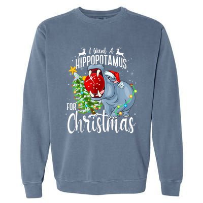 I Want A Hippopotamus For Christmas Xmas Hippo Cute Gift Garment-Dyed Sweatshirt