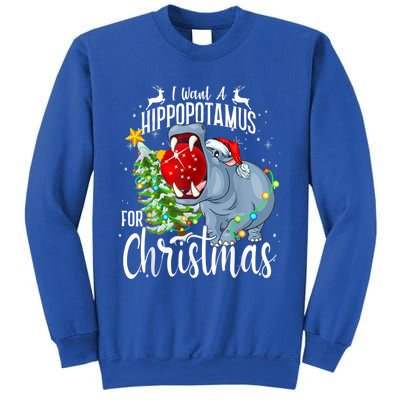 I Want A Hippopotamus For Christmas Xmas Hippo Cute Gift Sweatshirt