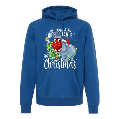 I Want A Hippopotamus For Christmas Xmas Hippo Cute Gift Premium Hoodie