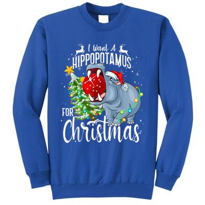 I Want A Hippopotamus For Christmas Xmas Hippo Cute Gift Tall Sweatshirt