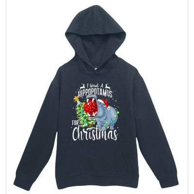 I Want A Hippopotamus For Christmas Xmas Hippo Cute Gift Urban Pullover Hoodie