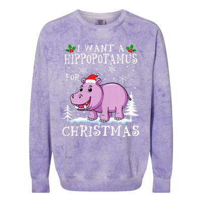 I Want A Hippopotamus For Christmas Xmas Hippo Colorblast Crewneck Sweatshirt