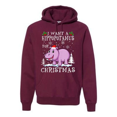 I Want A Hippopotamus For Christmas Xmas Hippo Premium Hoodie