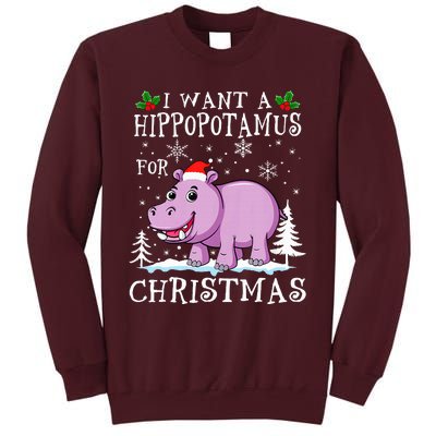 I Want A Hippopotamus For Christmas Xmas Hippo Tall Sweatshirt