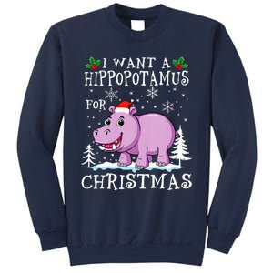 I Want A Hippopotamus For Christmas Xmas Hippo Sweatshirt