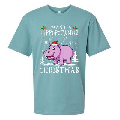 I Want A Hippopotamus For Christmas Xmas Hippo Sueded Cloud Jersey T-Shirt