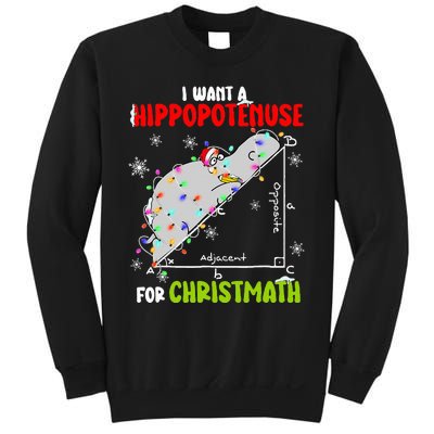 I Want A Hippopotamus For Christmas Xmas Hippo Math Teacher Sweatshirt