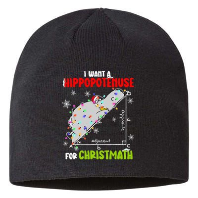 I Want A Hippopotamus For Christmas Xmas Hippo Math Teacher Sustainable Beanie