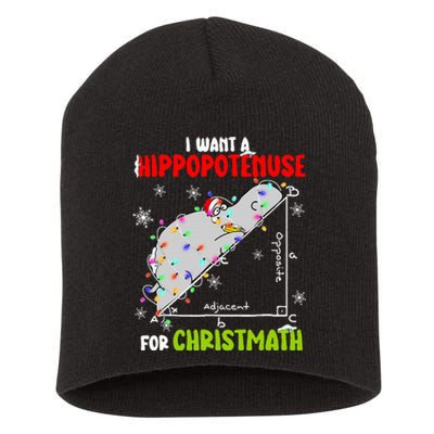 I Want A Hippopotamus For Christmas Xmas Hippo Math Teacher Short Acrylic Beanie