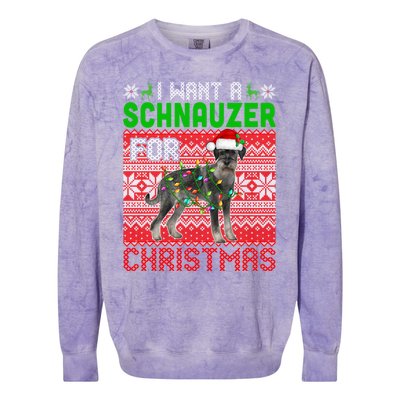 I Want A Schnauzer For Christmas Santa Dog Lover Owner Meaningful Gift Colorblast Crewneck Sweatshirt