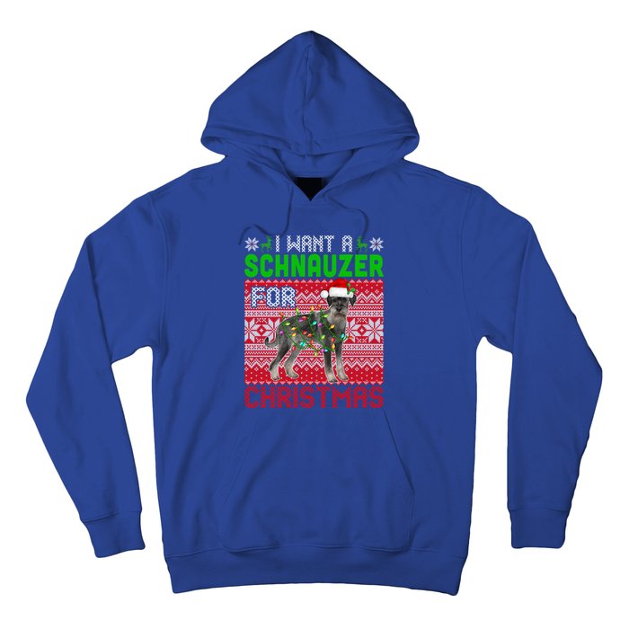 I Want A Schnauzer For Christmas Santa Dog Lover Owner Meaningful Gift Hoodie