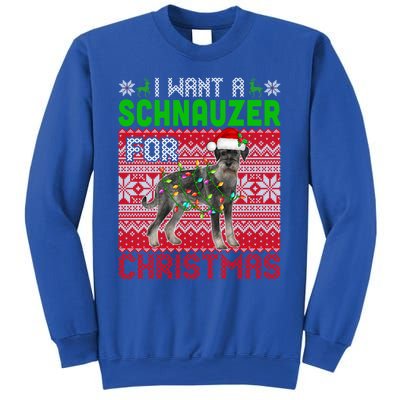 I Want A Schnauzer For Christmas Santa Dog Lover Owner Meaningful Gift Sweatshirt