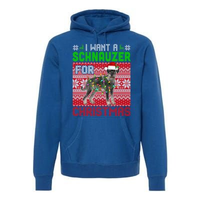 I Want A Schnauzer For Christmas Santa Dog Lover Owner Meaningful Gift Premium Hoodie