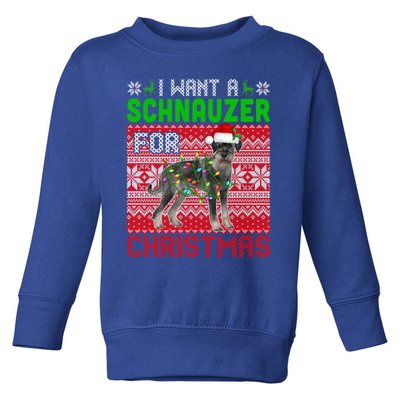 I Want A Schnauzer For Christmas Santa Dog Lover Owner Meaningful Gift Toddler Sweatshirt