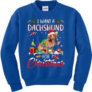 I Want A Dachshund For Christmas Xmas Lights Santa Dachshund Gift Kids Sweatshirt