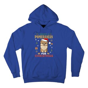 I Want A Pomeranian For Christmas Cute Dog Lover Xmas Pajama Gift Hoodie