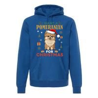 I Want A Pomeranian For Christmas Cute Dog Lover Xmas Pajama Gift Premium Hoodie