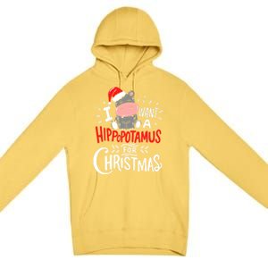 I Want A Hippopotamus For Christmas Funny Hippo Xmas Pajamas Cool Gift Premium Pullover Hoodie