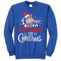 I Want A Hippopotamus For Christmas Funny Hippo Xmas Pajamas Cool Gift Sweatshirt