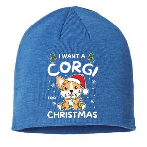 I Want A Dalmatian For Christmas Cute Dogs Great Gift Sustainable Beanie