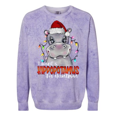 I Want A Hippopotamus For Christmas Family Hippo Christmas Colorblast Crewneck Sweatshirt