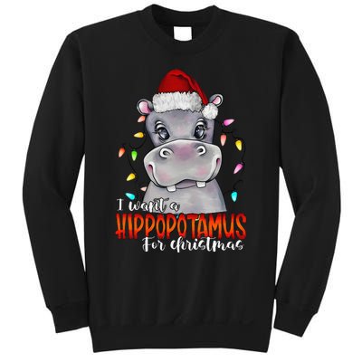 I Want A Hippopotamus For Christmas Family Hippo Christmas Sweatshirt