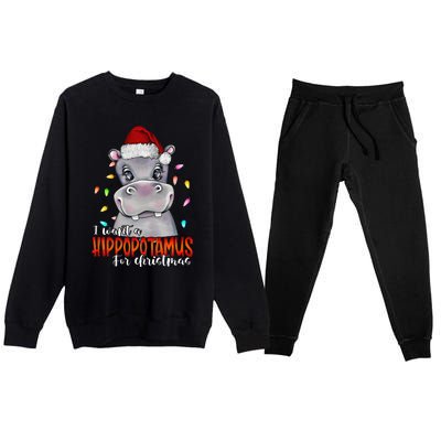 I Want A Hippopotamus For Christmas Family Hippo Christmas Premium Crewneck Sweatsuit Set