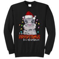 I Want A Hippopotamus For Christmas Family Hippo Christmas Tall Sweatshirt