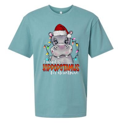 I Want A Hippopotamus For Christmas Family Hippo Christmas Sueded Cloud Jersey T-Shirt