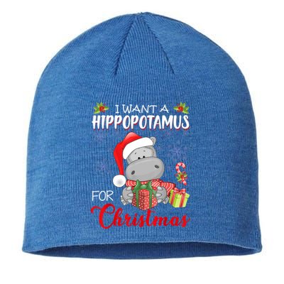 I Want A Hippopotamus For Christmas Xmas Hippo Great Gift Sustainable Beanie