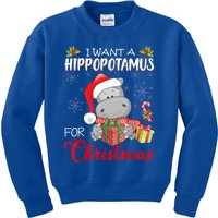 I Want A Hippopotamus For Christmas Xmas Hippo Great Gift Kids Sweatshirt