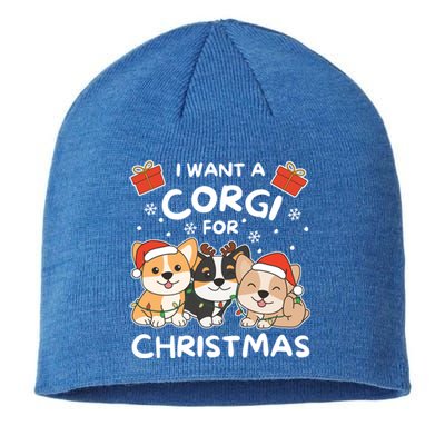 I Want A Corgi For Christmas Cute Dogs Cute Gift Sustainable Beanie