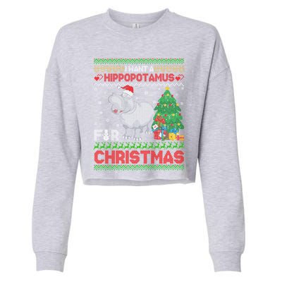 I Want A Hippopotamus For Christmas Hippo Pajamas Ugly Gift Cropped Pullover Crew