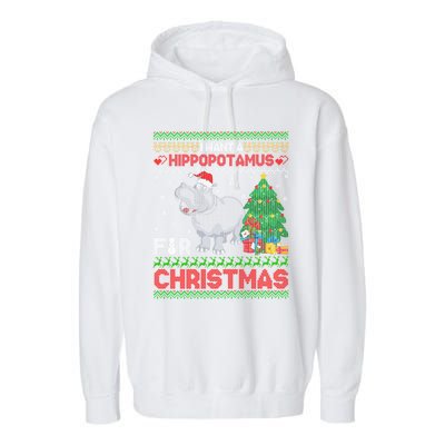 I Want A Hippopotamus For Christmas Hippo Pajamas Ugly Gift Garment-Dyed Fleece Hoodie