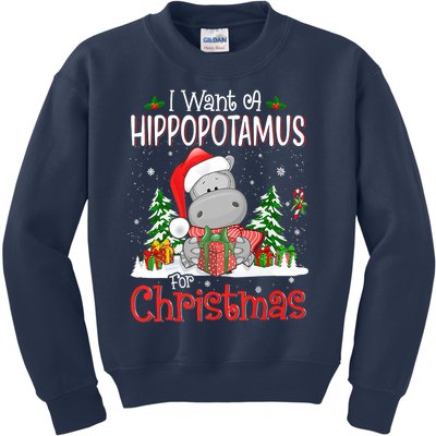 I Want A Hippopotamus For Christmas Xmas Hippo Kids Sweatshirt